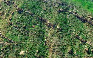 natural background, mountainside with stones, grass and trails of grazing ungulates photo