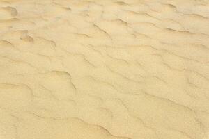 natural background, sandy desert surface with wind ripples photo