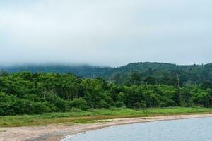 lake shore in a wooded mountainous area in cloudy weather, lake Lagunnoe on Kunashir island photo