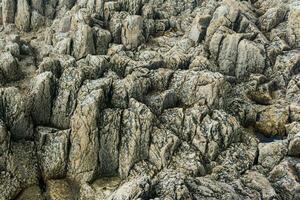 natural stone background, the remains of lava basalt columns form a relief surface photo