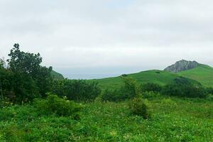 natural paisaje de kunashir isla con herboso colinas y Oceano en el antecedentes foto