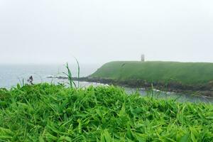 juicy green grass on the seashore against the background of a foggy cape with the ruin of a lighthouse photo