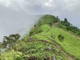 el niebla fluye mediante el montaña bosque, Dom brillante dentro tropical bosque, niebla derivas mediante montaña crestas en el mañana, lento flotante niebla soplo cubrir en el parte superior de montaña foto