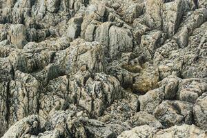 natural stone background, the remains of lava basalt columns form a relief surface photo
