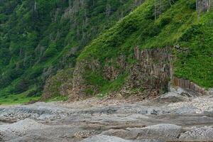 coastal landscape, beautiful wooded rocks on the green coast of Kunashir island photo