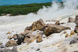 plants among blocks of solidified lava in a fumarole field on the slope of a volcano photo
