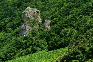 coastal landscape, beautiful lava rocks on the wooded coast of Kunashir island photo