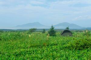 tourist tent among the grass in the rays of the morning sun on Kunashir island with volcanoes in the background photo
