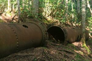 remains of rusty industrial equipment among the forest photo