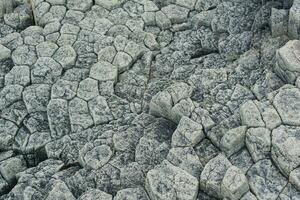 natural stone background, the bases of lava basalt columns form a kind of pavement photo