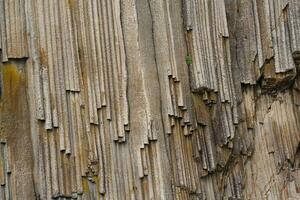 natural fondo, el superficie de el roca, consistente de vertical basalto columnas foto