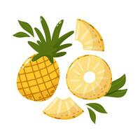 Pineapple composition with leaves. Set of sweet whole and slices tropical fruit. Summer vitamin vector abstract illustration for banner, poster, flyer, greeting card. Cartoon flat style.