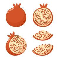 Pomegranate collection, whole and slices, vector illustration set. Seasonal fruits, summer vitamin, healthy food concept. Cartoon flat style