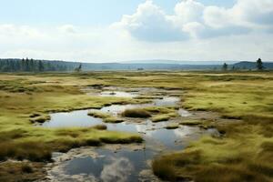 AI generated landscape of vast peatland, raised or ombrotrophic bog photo