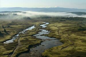 AI generated aerial view of vast peatland covered in fog photo