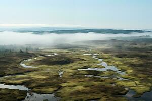 AI generated aerial view of vast peatland covered in fog photo