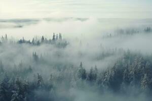 AI generated frosty snowy forest landscape with cold fog, aerial view photo