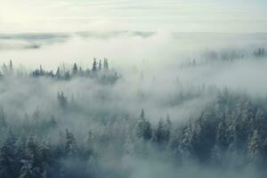 ai generado escarchado Nevado bosque paisaje con frío niebla, aéreo ver foto