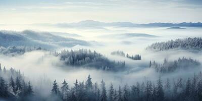 AI generated winter foggy hilly wooded landscape, boreal forest, snowy woodland, aerial view photo