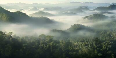 AI generated aerial view of wild mountain rainforest area in morning fog photo