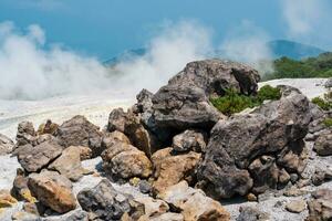plants among blocks of solidified lava in a fumarole field on the slope of a volcano photo