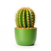AI generated single cactus in a frosted green pot on a white background photo