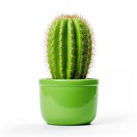 AI generated single cactus in a glossy green pot on a white background photo