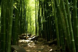 AI generated rocky path through bamboo forest photo