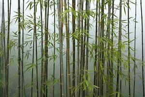 AI generated bamboo stems on a foggy background photo