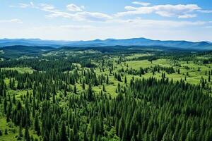 AI generated Aerial view of over dark pine forest trees. Top down drone view. photo