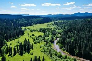 AI generated Aerial view of over dark pine forest trees. Top down drone view. photo