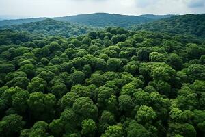 AI generated Aerial view of over dark pine forest trees. Top down drone view. photo