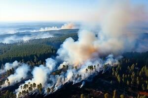 AI generated Forest fire, natural disaster, rampant fire burning trees and grass. Smoke from a fire over the forest. 3d rendering photo