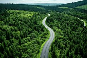 ai generado aéreo ver de un la carretera en el medio de el bosque foto