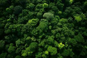 AI generated Aerial view of over dark pine forest trees. Top down drone view. photo