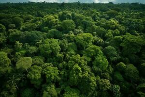 ai generado aéreo ver de terminado oscuro pino bosque arboles parte superior abajo zumbido vista. foto