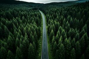 ai generado aéreo ver de un la carretera en el medio de el bosque foto