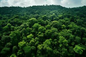 AI generated Aerial view of over dark pine forest trees. Top down drone view. photo