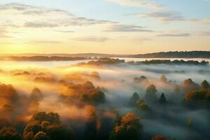 AI generated Amazing aerial view of beautiful low clouds creeping on the tree-covered mountain slopes photo