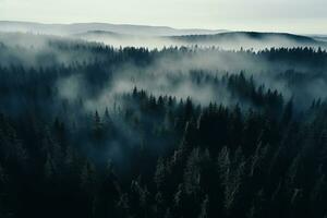 ai generado aéreo ver de oscuro verde bosque con brumoso nubes el Rico natural ecosistema de selva concepto de natural bosque conservación y repoblación forestal. foto