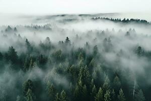 AI generated Aerial view of dark green forest with misty clouds. The rich natural ecosystem of rainforest concept of natural forest conservation and reforestation. photo