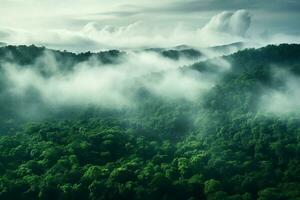 ai generado aéreo ver de oscuro verde bosque con brumoso nubes el Rico natural ecosistema de selva concepto de natural bosque conservación y repoblación forestal. foto