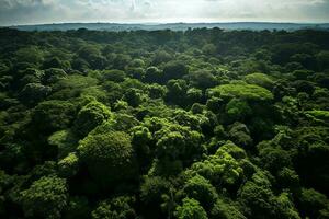 AI generated Aerial view of over dark pine forest trees. Top down drone view. photo