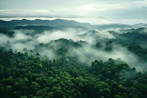 ai generado aéreo ver de oscuro verde bosque con brumoso nubes el Rico natural ecosistema de selva concepto de natural bosque conservación y repoblación forestal. foto