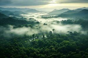 AI generated Aerial view of dark green forest with misty clouds. The rich natural ecosystem of rainforest concept of natural forest conservation and reforestation. photo
