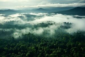 ai generado aéreo ver de oscuro verde bosque con brumoso nubes el Rico natural ecosistema de selva concepto de natural bosque conservación y repoblación forestal. foto