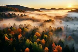 AI generated Amazing aerial view of beautiful low clouds creeping on the tree-covered mountain slopes photo