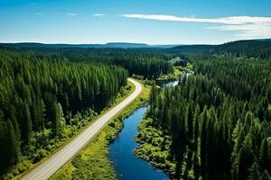 ai generado aéreo ver de un la carretera en el medio de el bosque foto