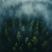 AI generated Aerial view of dark green forest with misty clouds. The rich natural ecosystem of rainforest concept of natural forest conservation and reforestation. photo