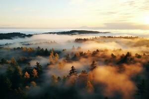 AI generated Amazing aerial view of beautiful low clouds creeping on the tree-covered mountain slopes photo